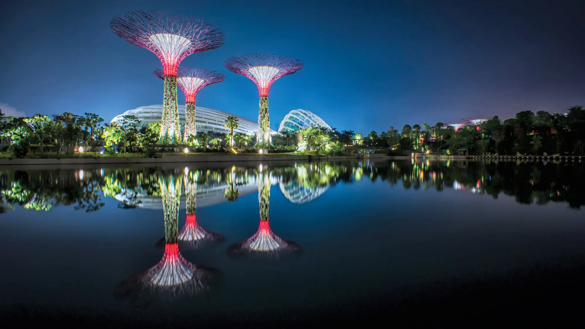 Gardens by the Bay, Singapore, 2018